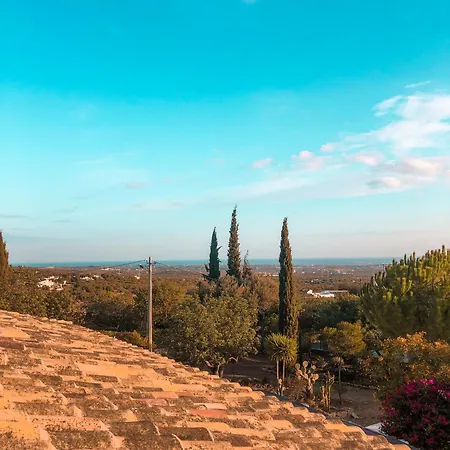 بيت للعطل Monte Oliveiras - Private With Pool إيستوا