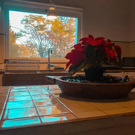 Monte Oliveiras - Private With Pool بيت للعطل *
